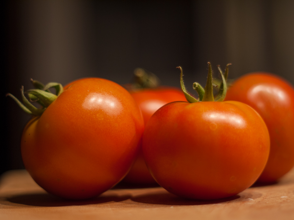 The Tomato Garden