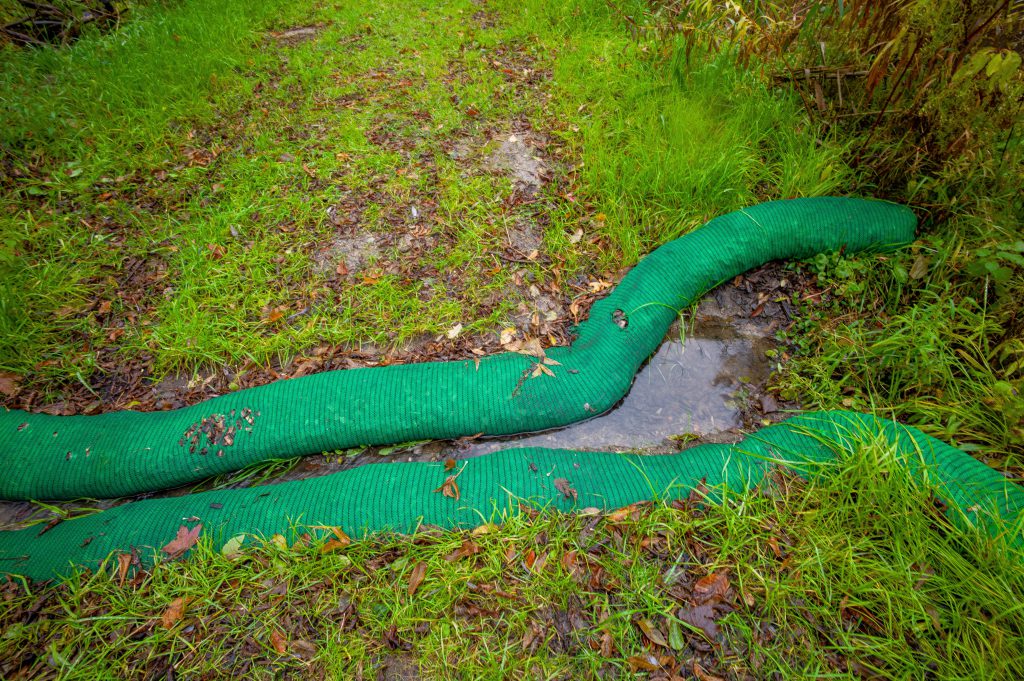 2018-11 The Park, Animal, Bird, Content, Dark, Image type, Landscape, Locale, Park, Peafowl, Photography, Projects