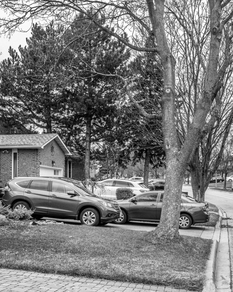 Car, Content, Event, Event-COVID-19, Nature, Other, Photography, Plant, Tree, Unsaturated, Vehicle, Wood