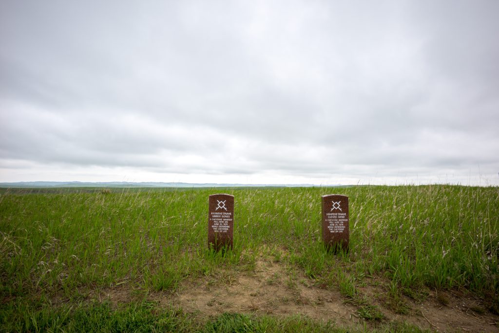 2020-07 Monuments Project, @VAu 1-247-600 (2016 Mar-May unpublished), Agriculture, Battle Field, Building, Content, Event, Event - Travel, Field, Graveyard, High Contrast, HistoricSite, Locale, Monument, Nature, Other, Photography, Projects, Thing, Travel