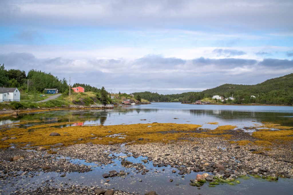 2019-02 Manufactured-Dreamscapes, 2019-Newfoundland-Residency, Canada, Content, Coral-Cabin-Theme, Coral-cabin, Image type, Lake, Maritimes, Nature, Newfoundland, Newfoundland-Keywords, Newfoundland-Residency, Newfoundland-Themes, Other, Places, Projects, River, Roger's Cove, Seascape, Water, Waters