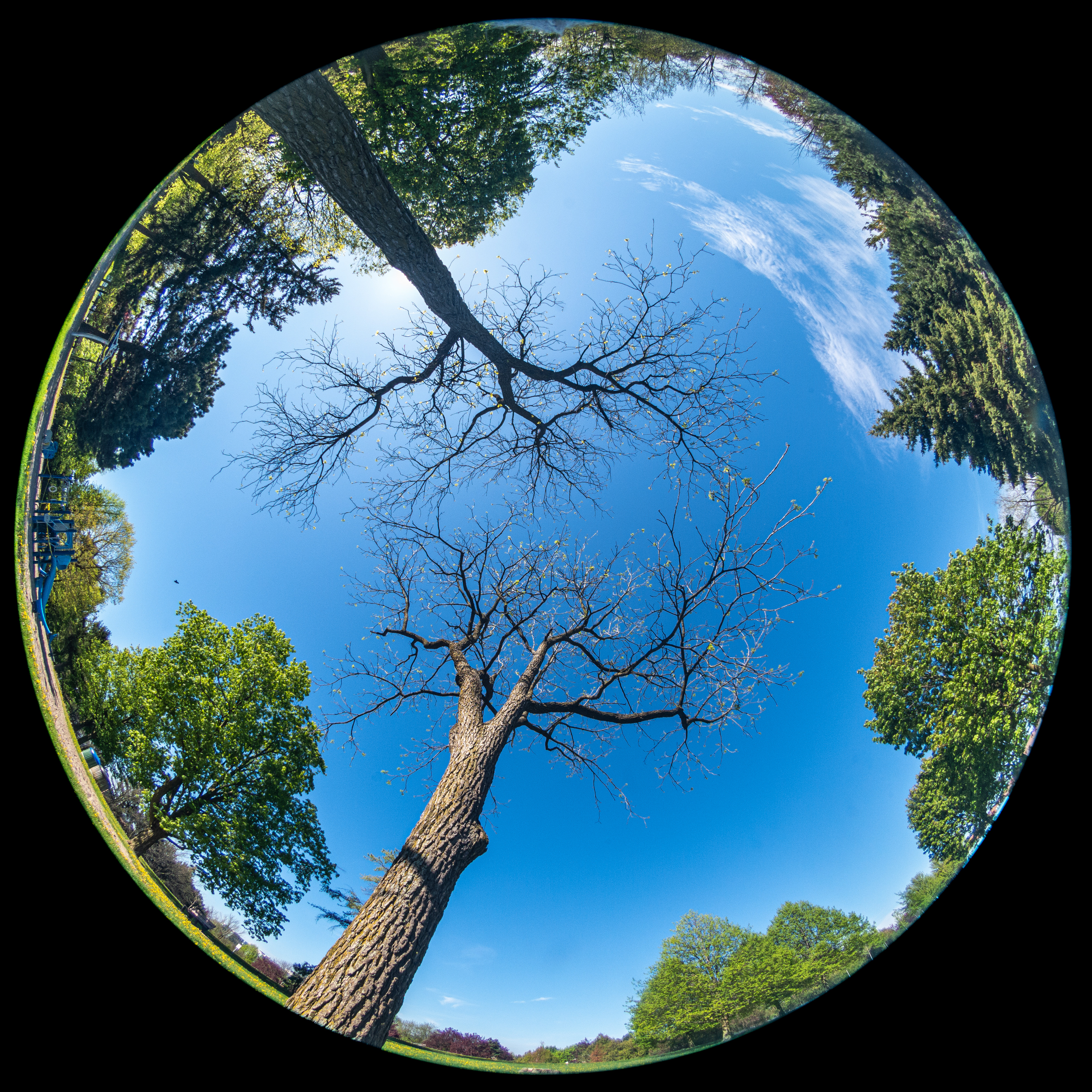 Skies Above Windy Hill Park, Thornhill, Ontario