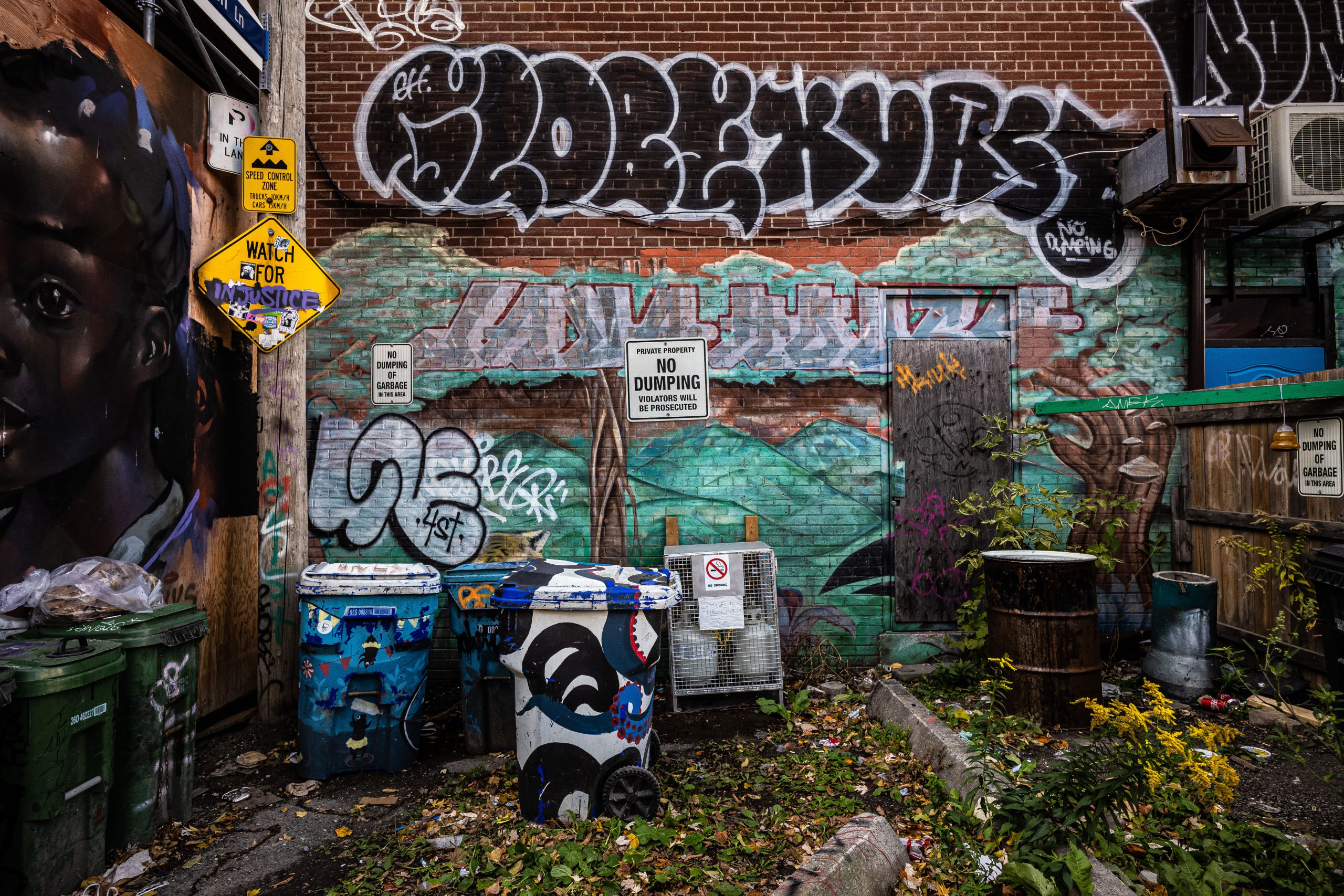 Graffiti Alley #5