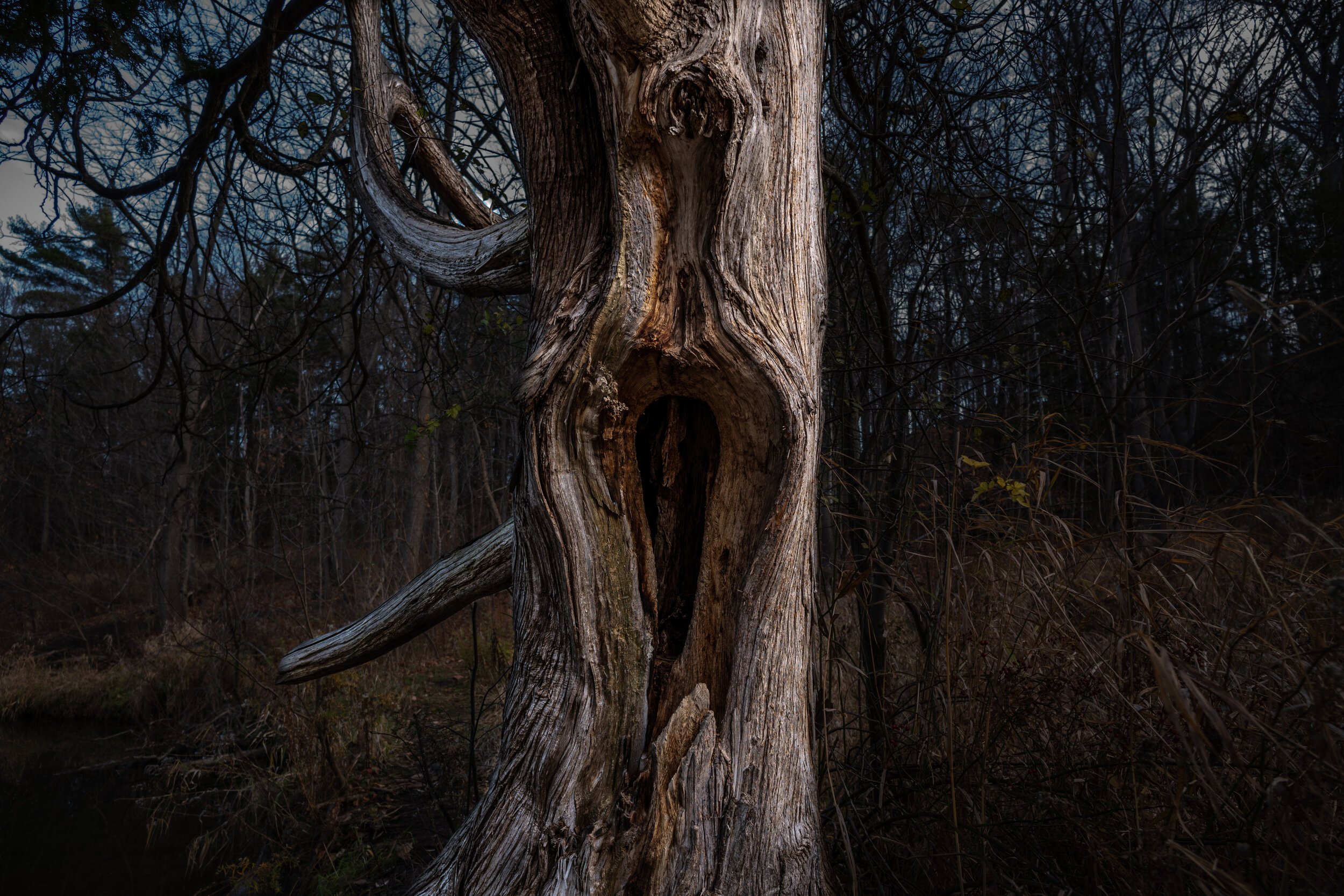 20201114-09-LEICA M10-L1000862-HDR.jpg