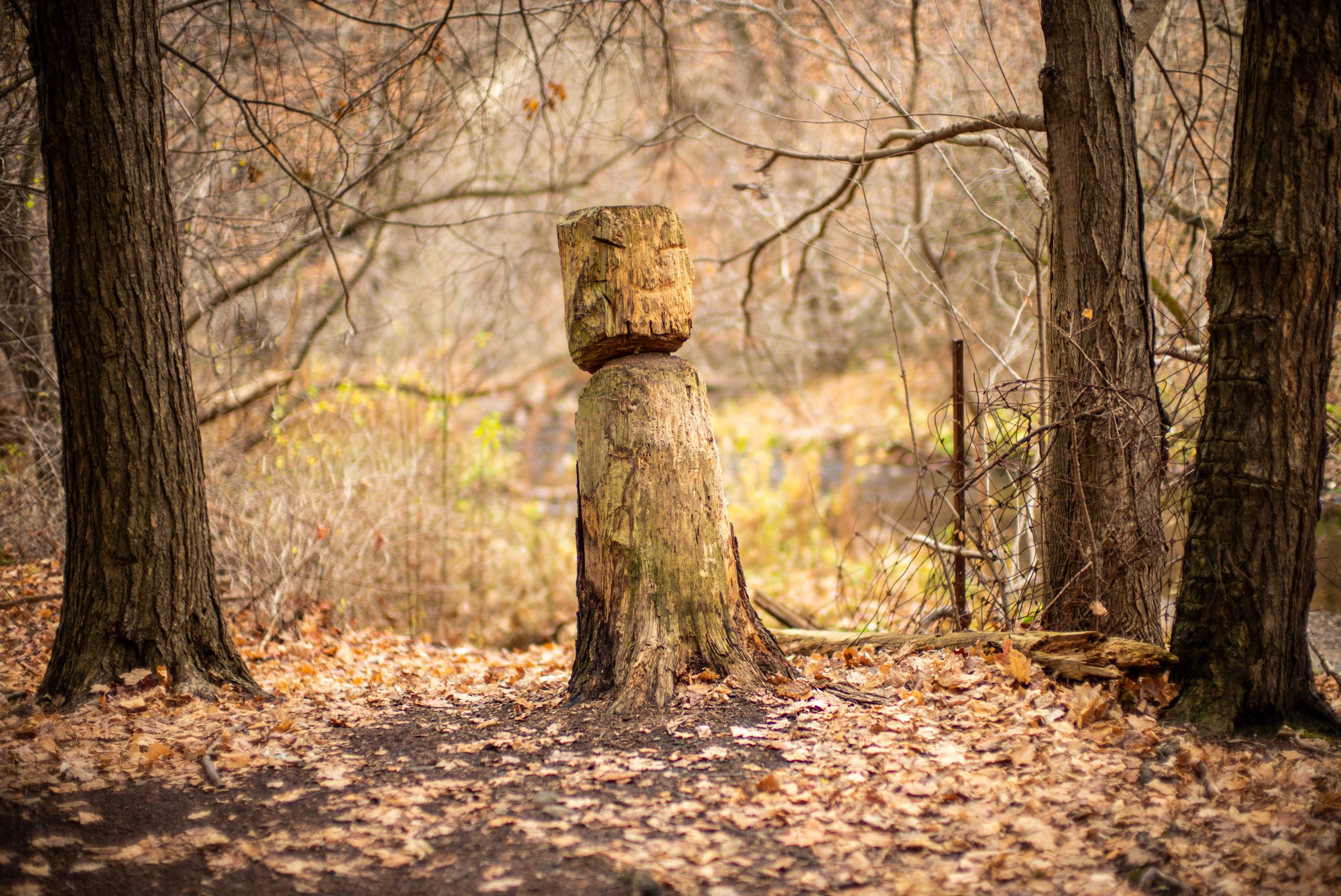 Wooden Statue