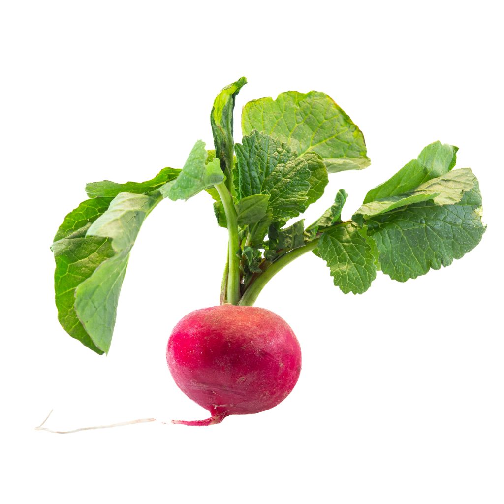 2020-12 Rainbow Plate, Assignment, Bright, Commissions, Content, Favourite, Food, Leaf, Nature, Photography, Plant, Projects, Radish, Thing, Vegetable