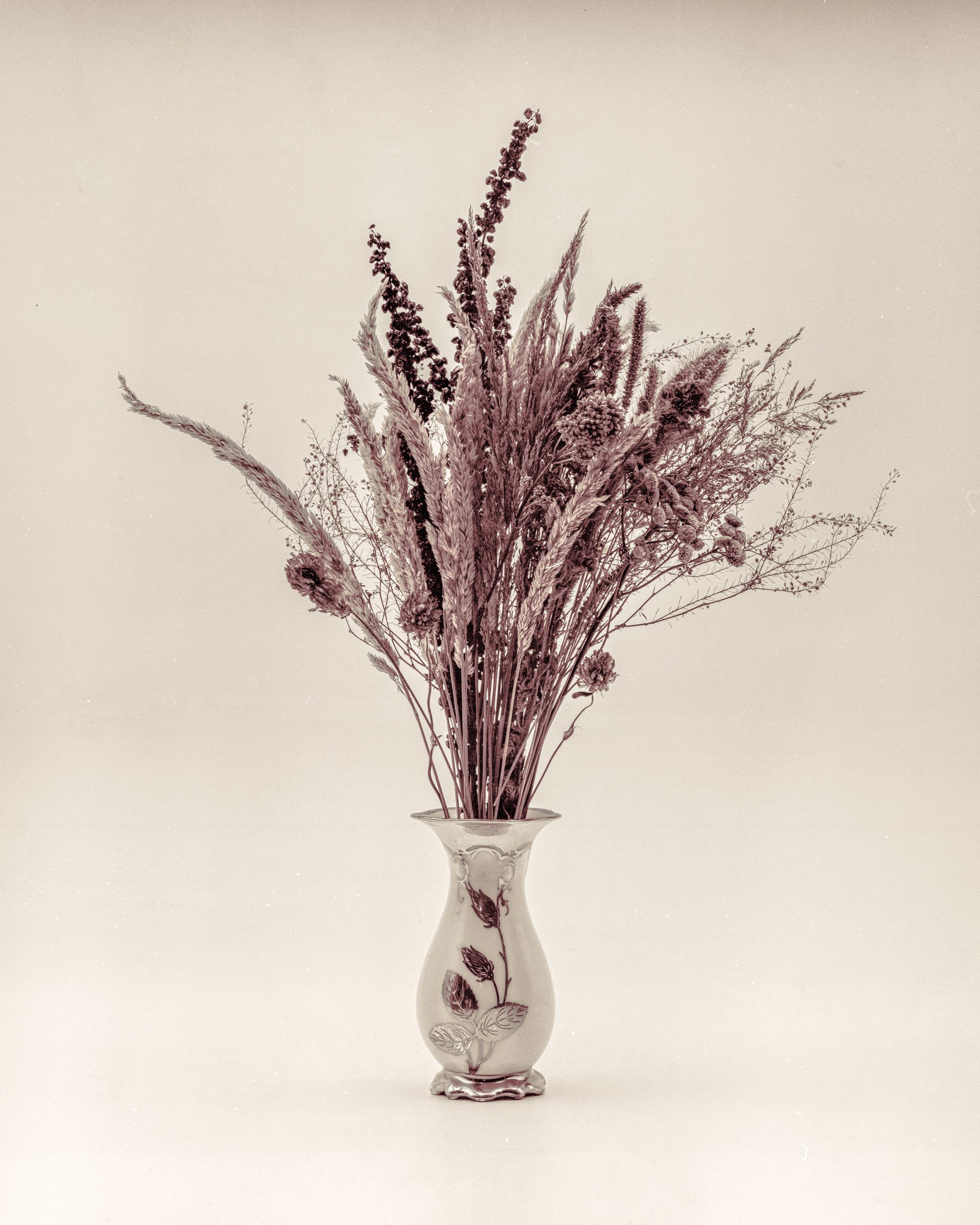 Dried Flowers developed in Peppermint Tea and Caffenol