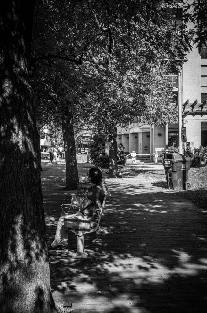 2022-10 Three Stories of Toronto, City, City Street, Content, Forest, Nature, Other, Outdoor, Person, Place, Plant, Projects, Tree, Wood