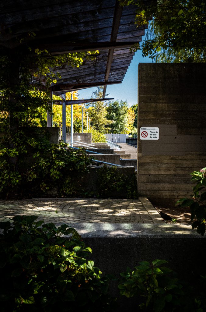 2022-10 Three Stories of Toronto, Content, Dark, Garden, Nature, Outdoor, Photography, Place, Plant, Projects