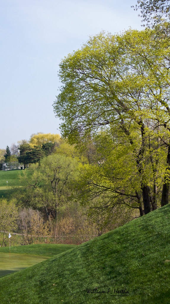 Golf Game at Dentonia