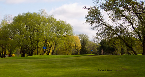 Golf at Scarlett Woods