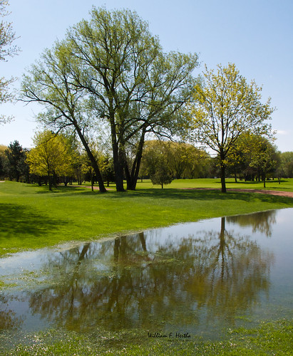 Golf at Scarlett Woods