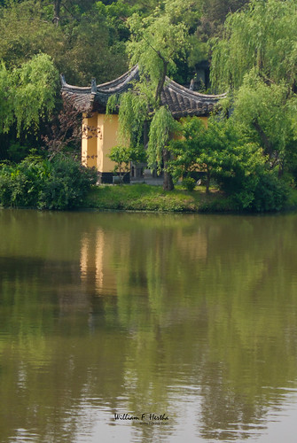 Walk through Slender West Lake Park