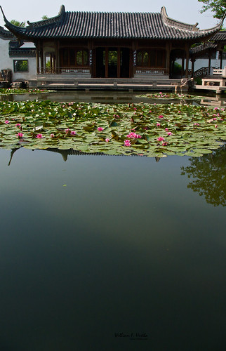 Walk through Slender West Lake Park,