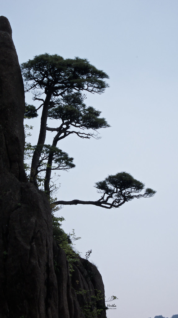 Hiking in Huangshan Park