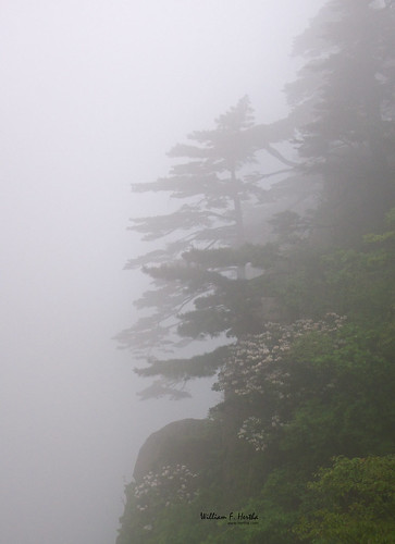 Hiking in Huangshan Park