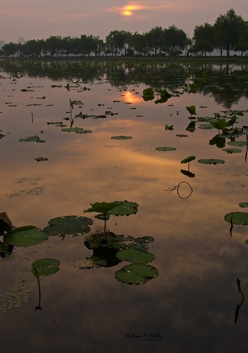 Sunrise on West Lake