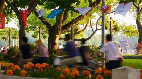 Bicycle Traffic along West Lake