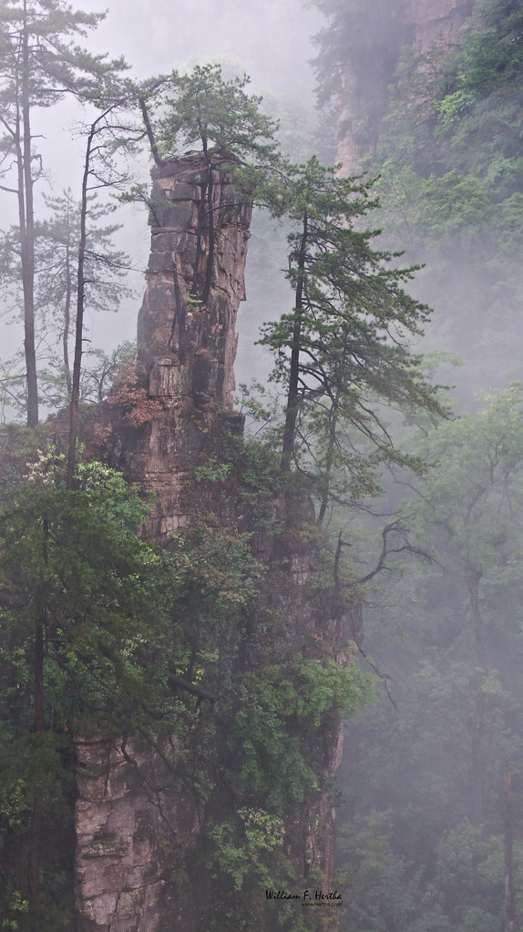 Walking through the Tianzi Mountains