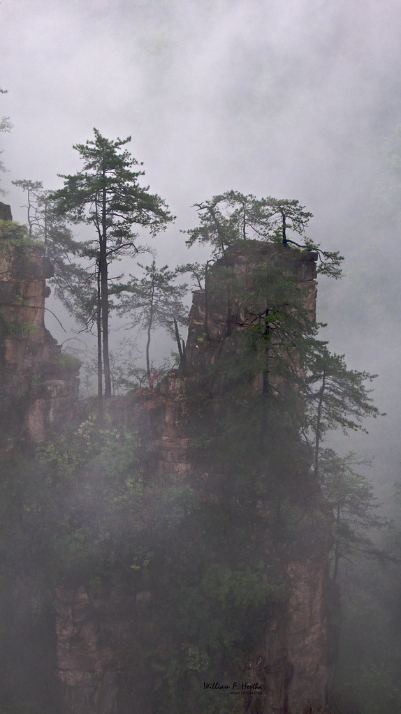 Walking through the Tianzi Mountains