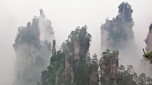 Walking through the Tianzi Mountains