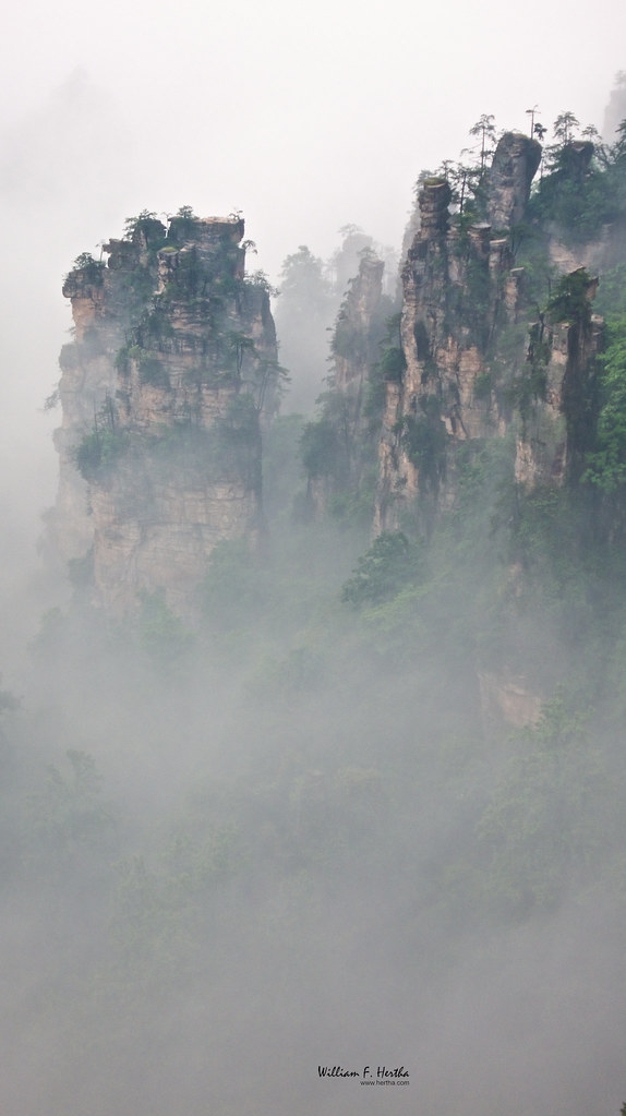 Walking through the Tianzi Mountains