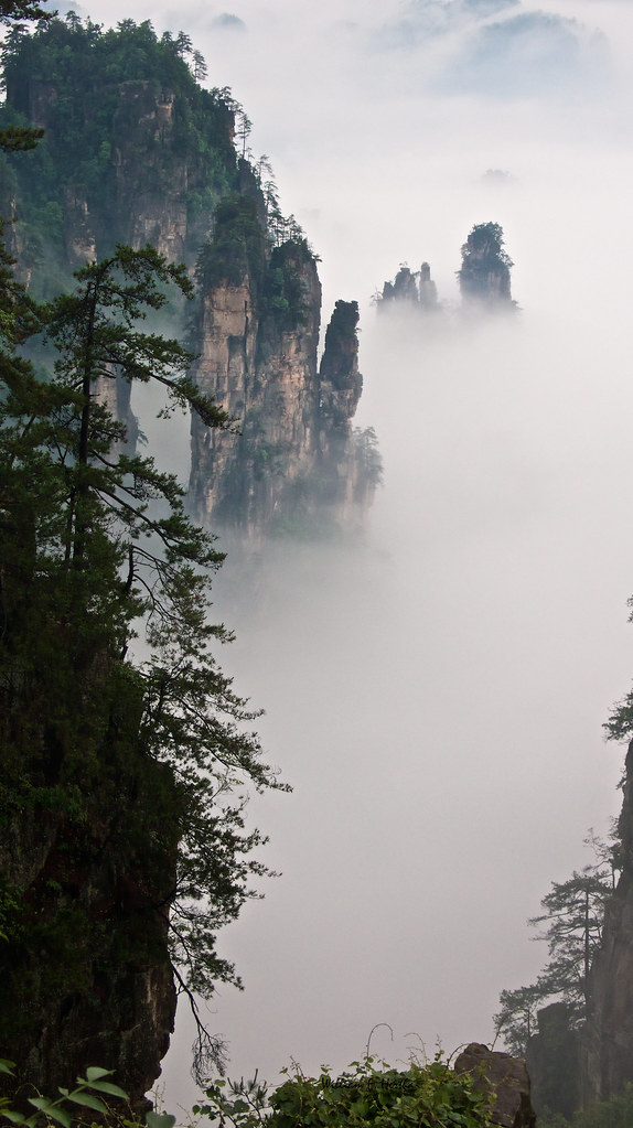 Walking through the Tianzi Mountains