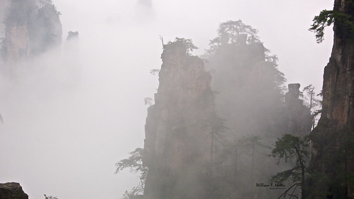 Walking through the Tianzi Mountains