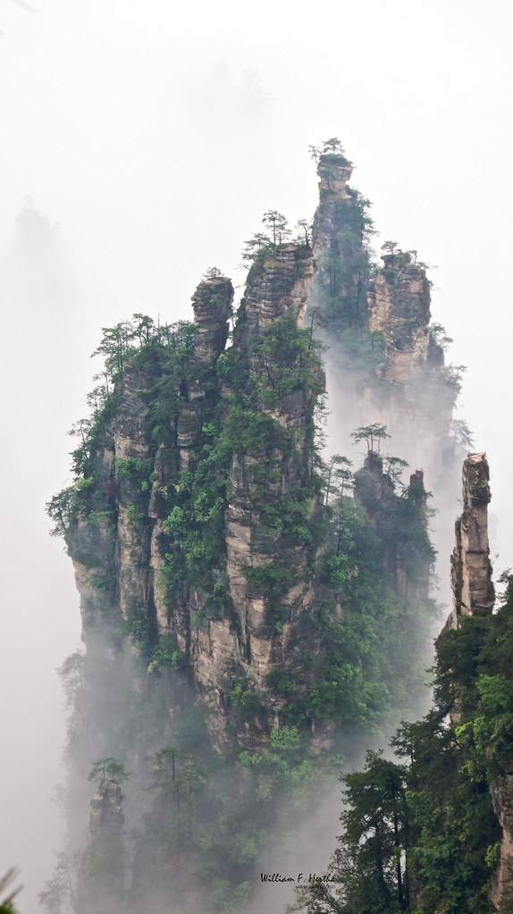 Walking through the Tianzi Mountains