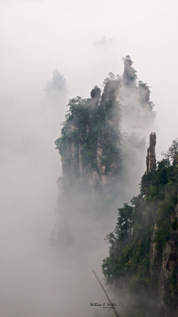 Walking through the Tianzi Mountains