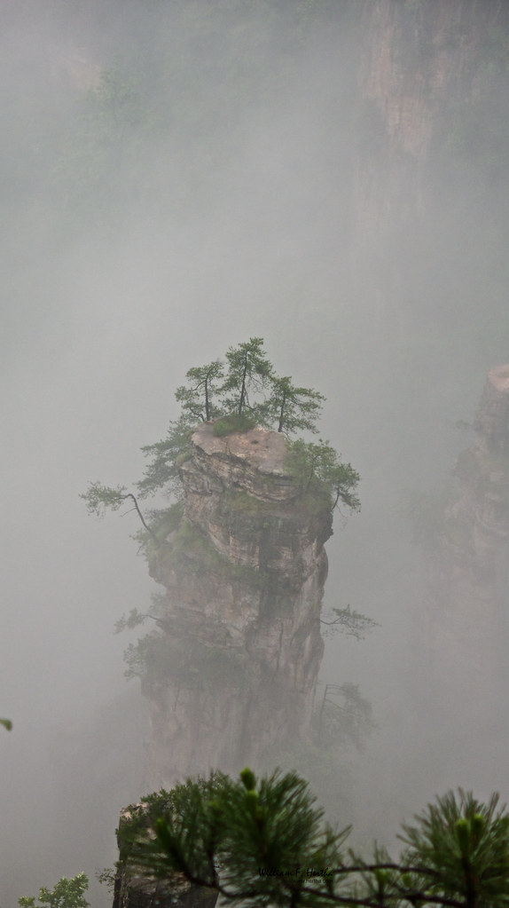 Walking through the Tianzi Mountains