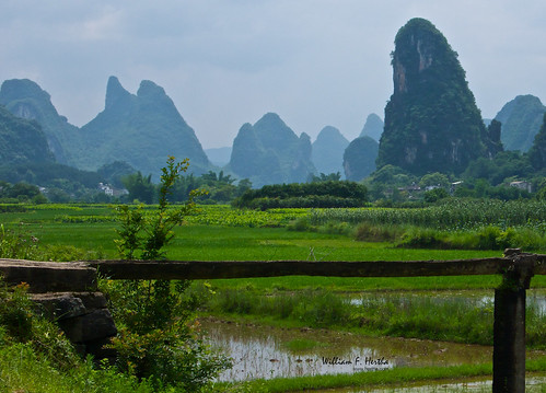 Cart ride through the Yanshou country side