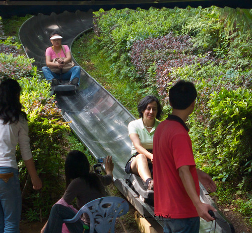 Sliding down the peak