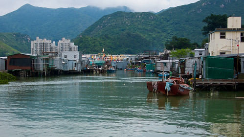 Walk through Tai O fishing village