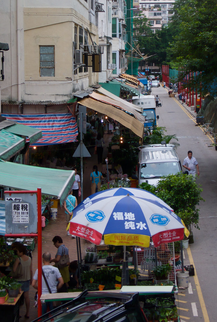 Walk through the Bird market in Hong Kong