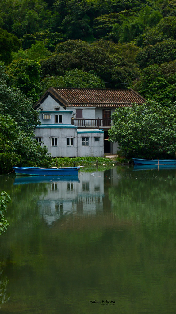 Walk through Tai O fishing village