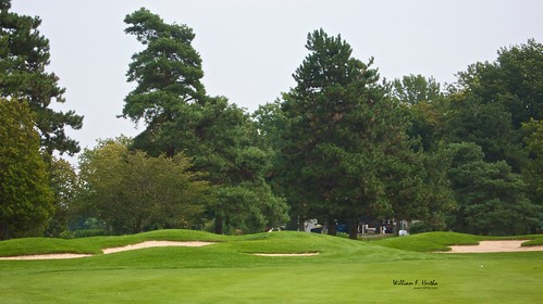 Ladies Golf 2008