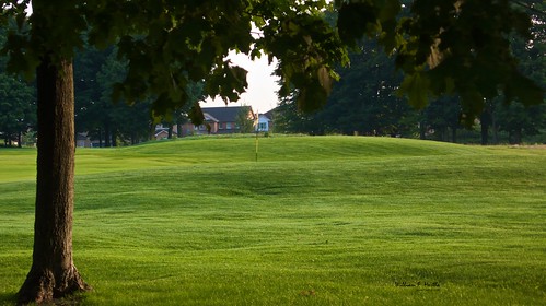 Ladies Golf 2008