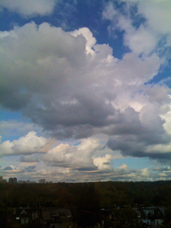 From the Window at 120 Bloor