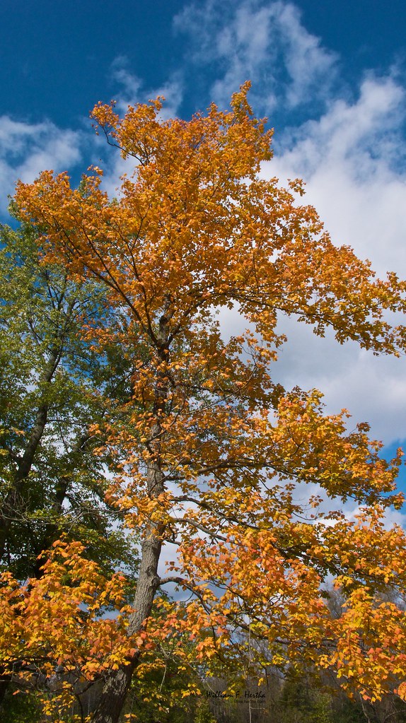 Autumn walk along the Rio Grande