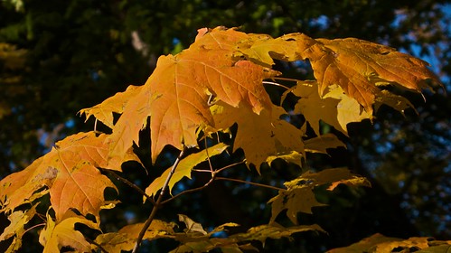 Colours in the Neighbourhood