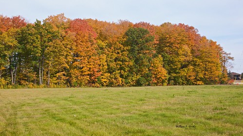 Colours in the Neighbourhood