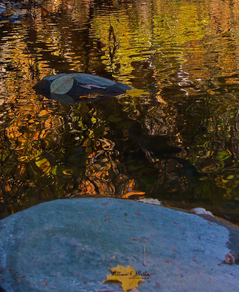 Fall Colours at Angus Glen and Maple Valley Park