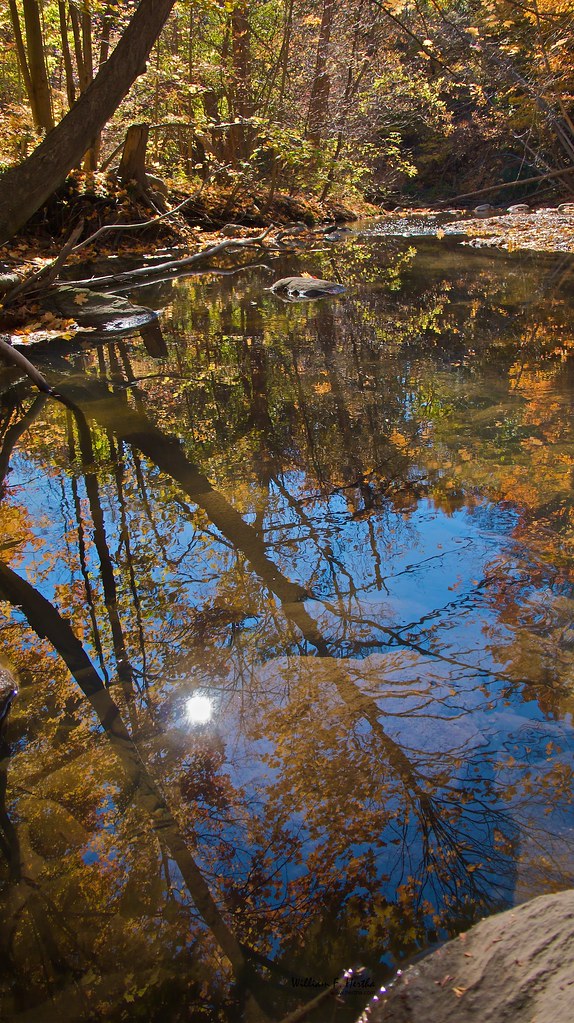 Fall Colours at Angus Glen and Maple Valley Park