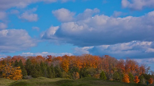 Fall Colours at Angus Glen and Maple Valley Park