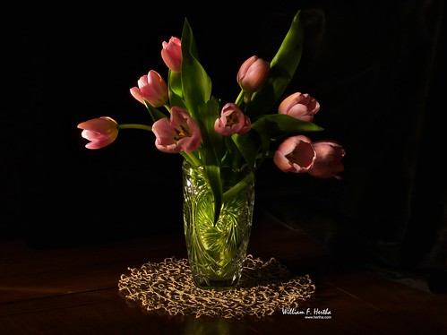 Light Painting #3: Tulips on Oak Table