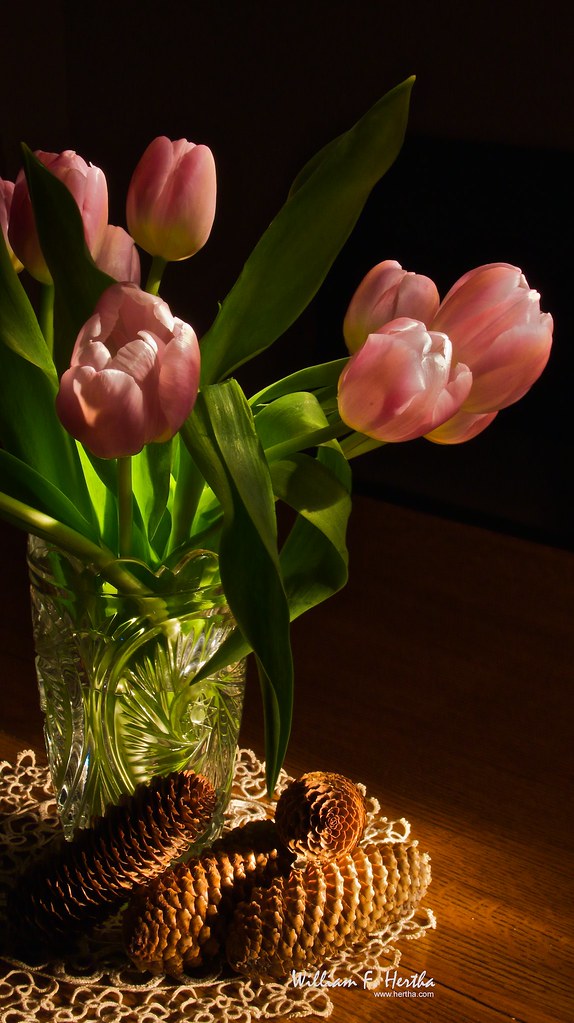 Light Painting #4: Tulips on Oak Table