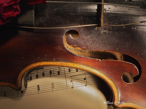 Light Painting #10: Violin