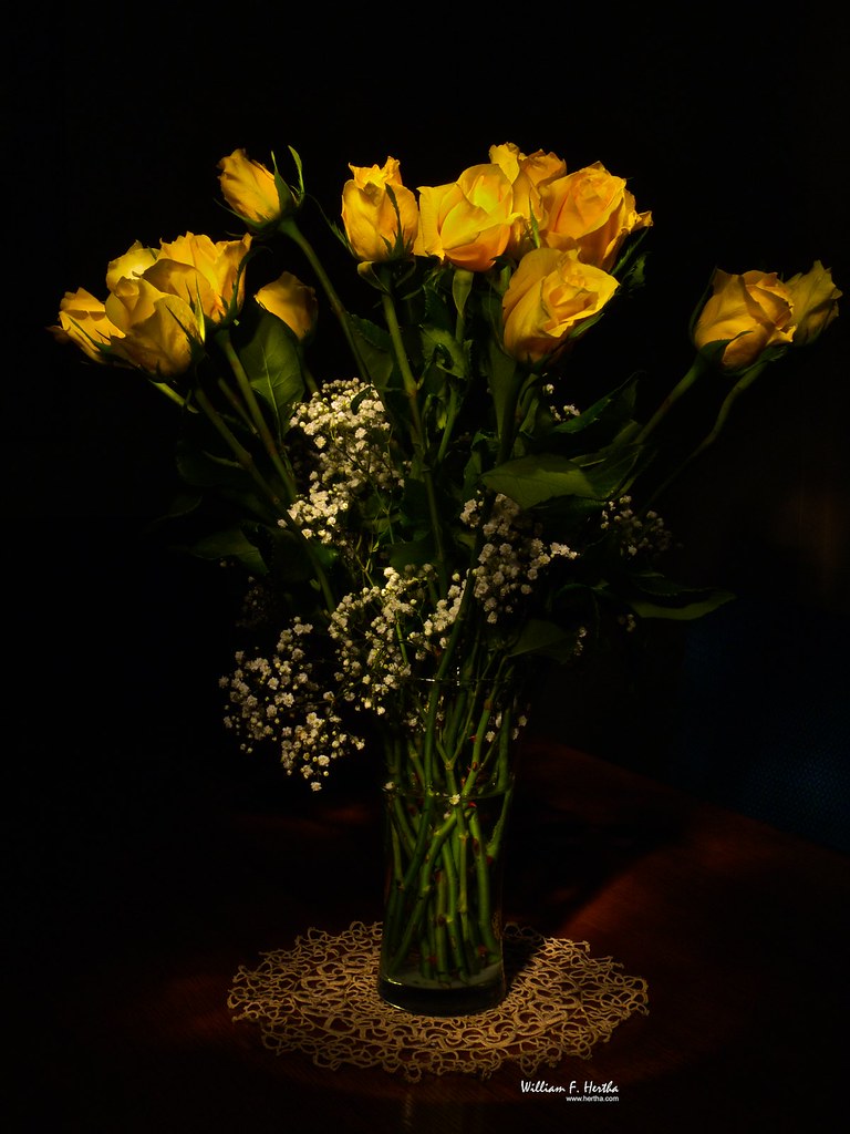 Light Painting #13: Yellow Roses