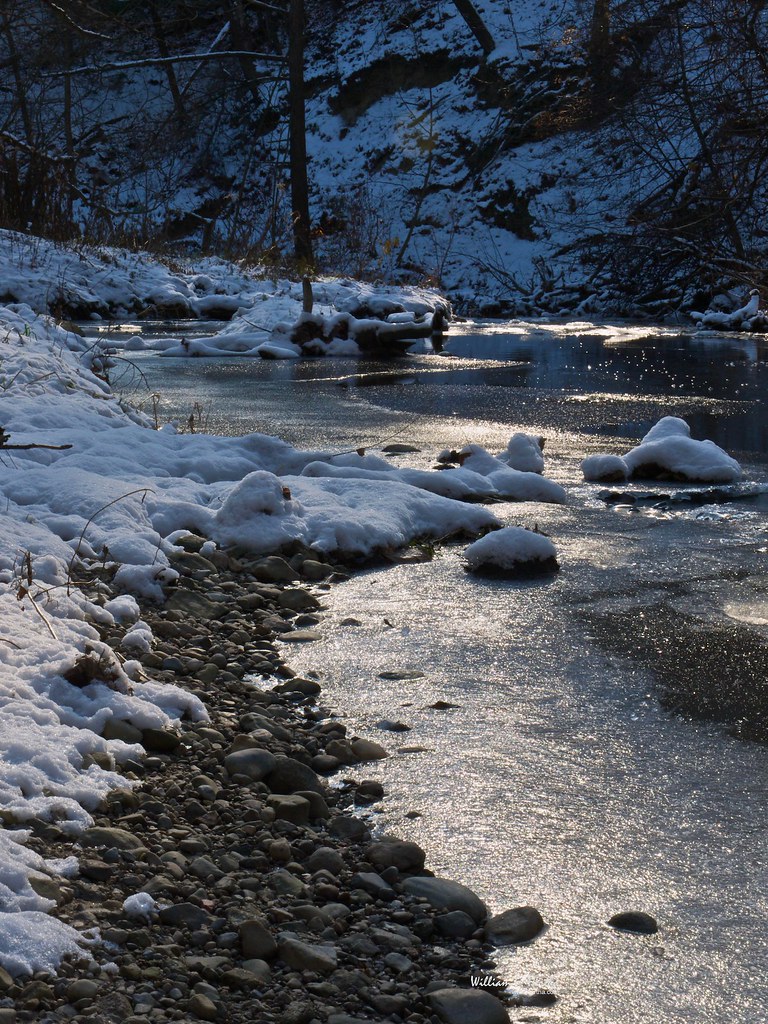 First snow in Maple Valley Park